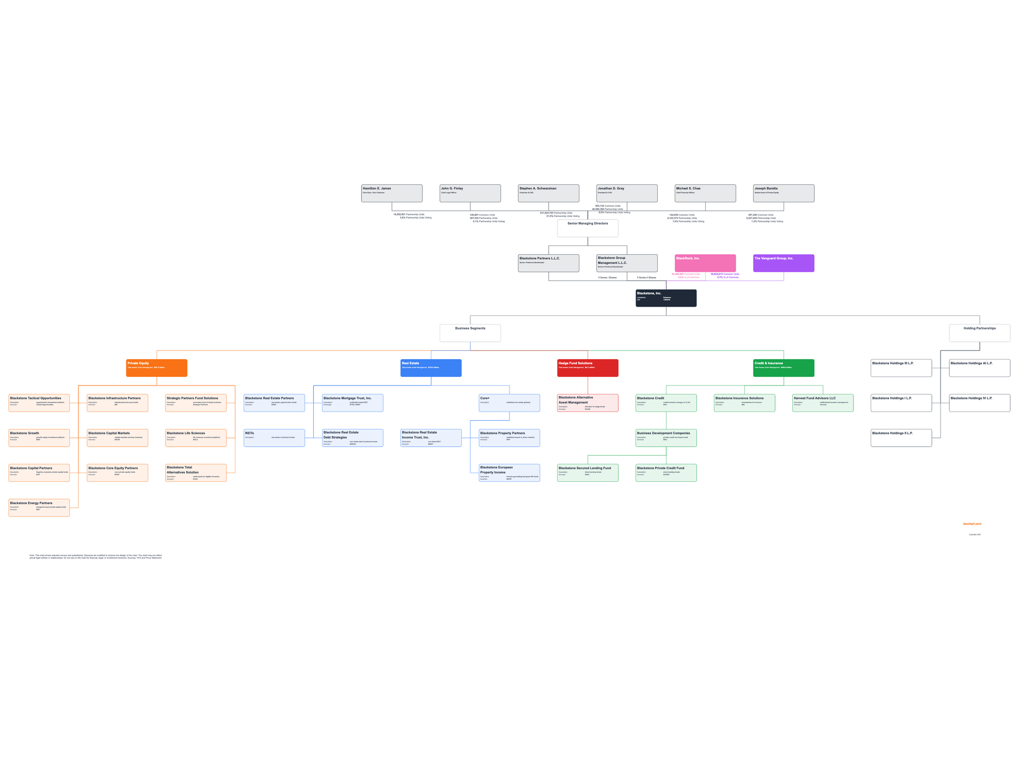 Blackstone Company Structure