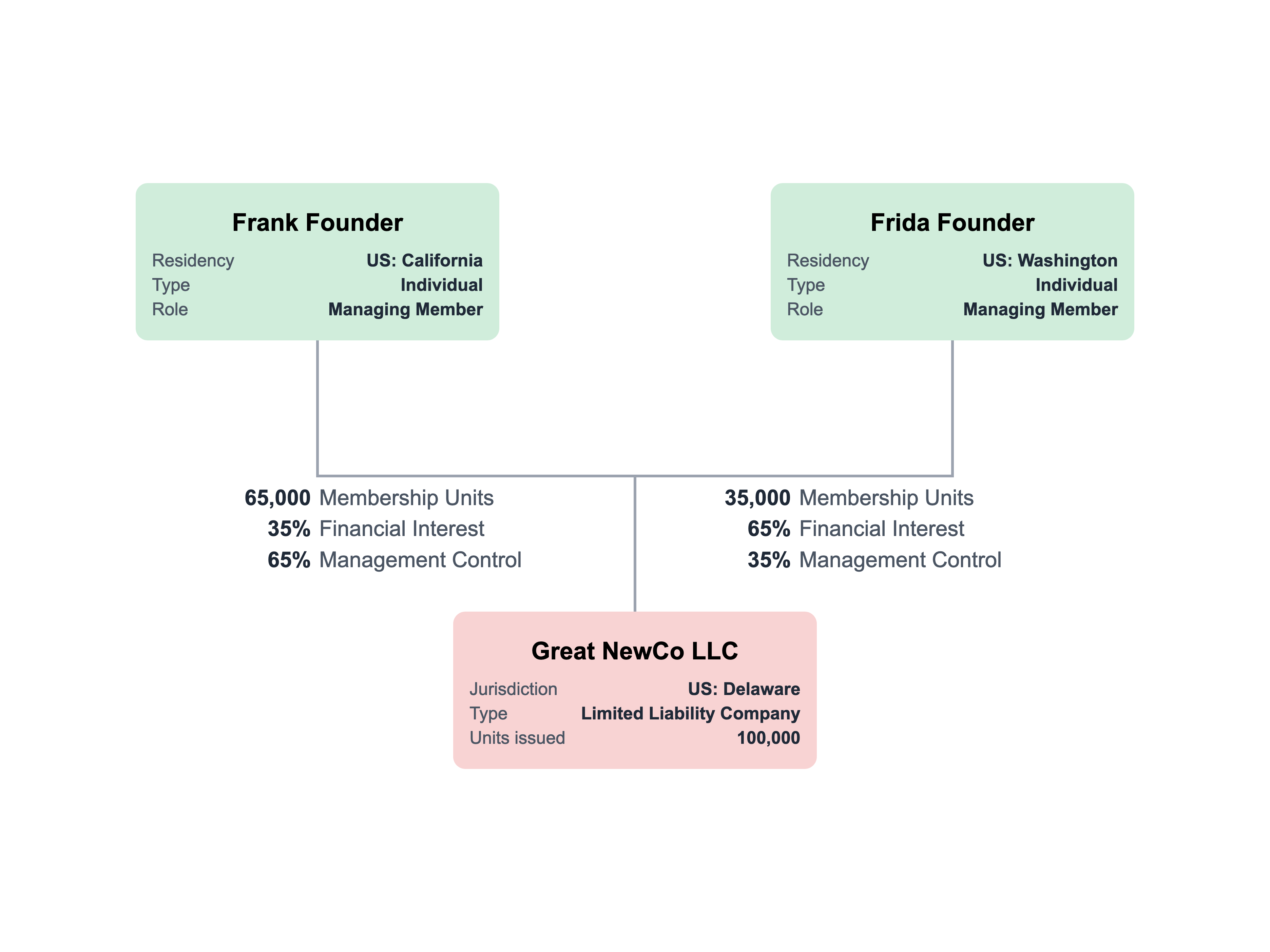 Limited Liability Company with Different Financial and Voting Interests