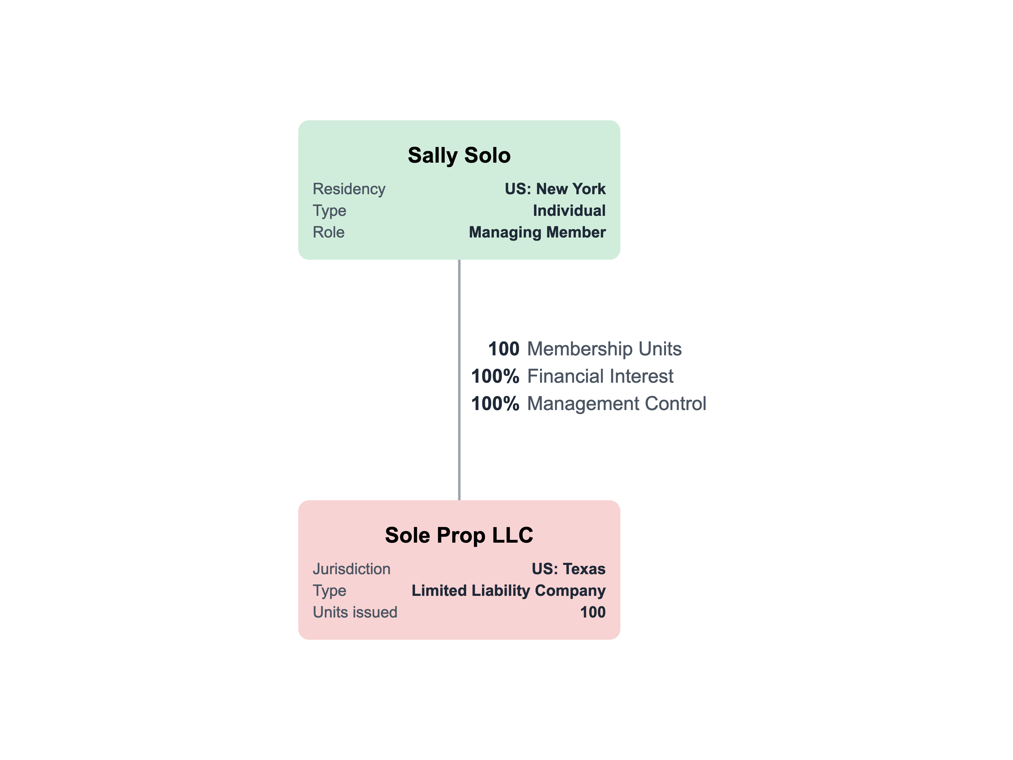 company organizational chart template