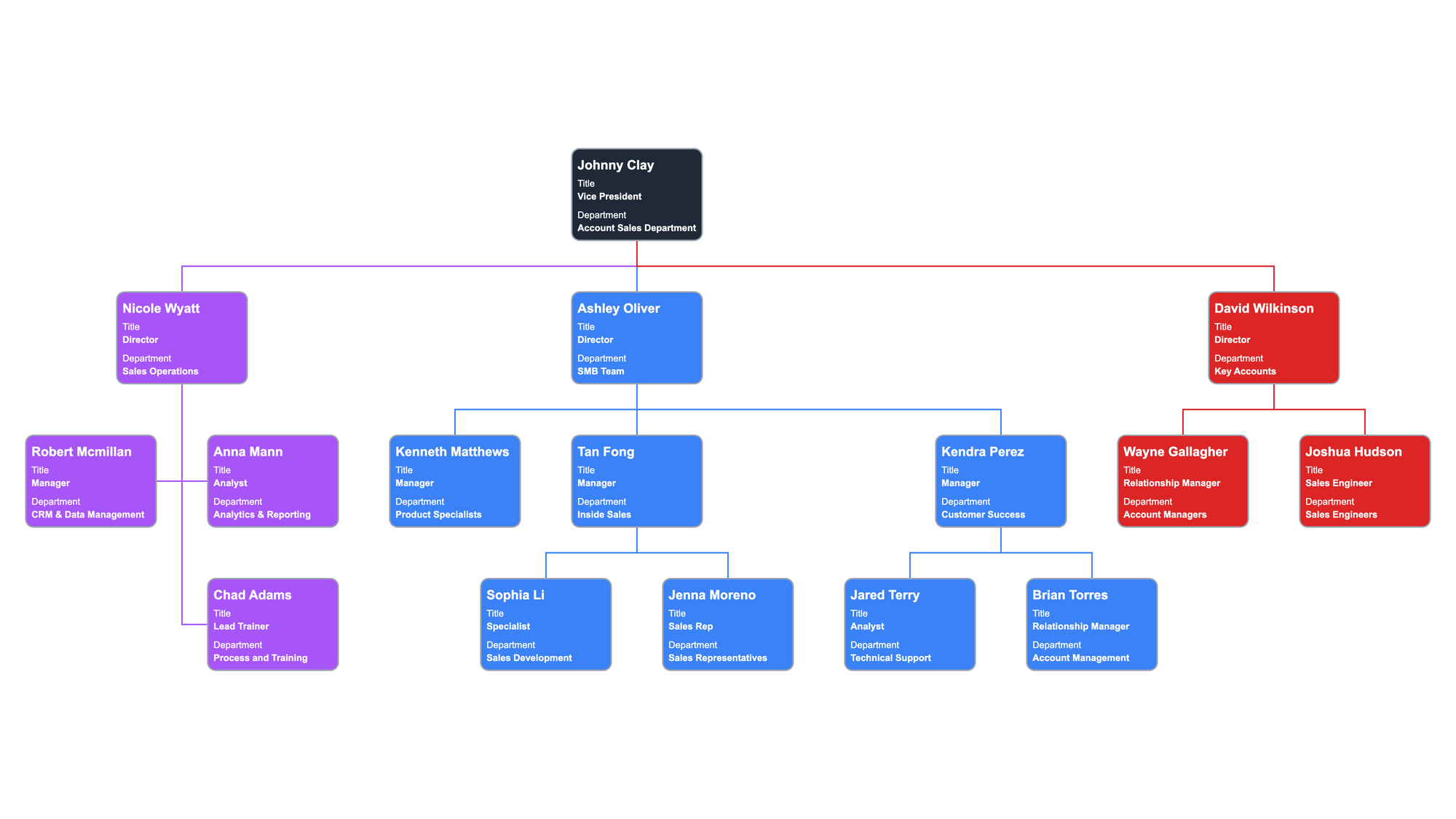 Sales Department Org Chart Focused on Accounts