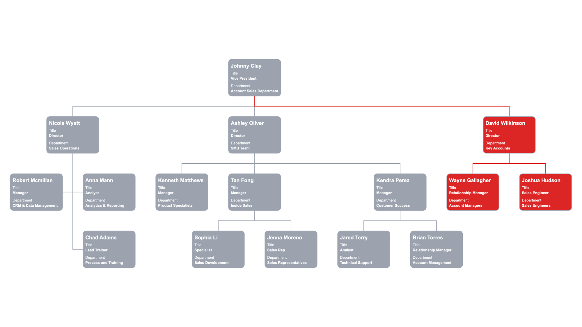 Sales Department Org Chart Focused on Accounts