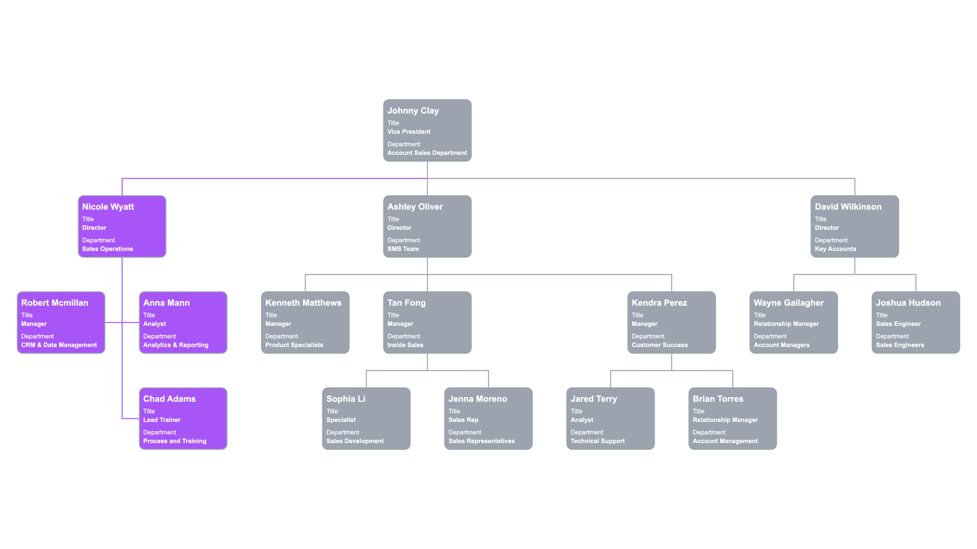 Sales Department Org Chart Focused on Accounts