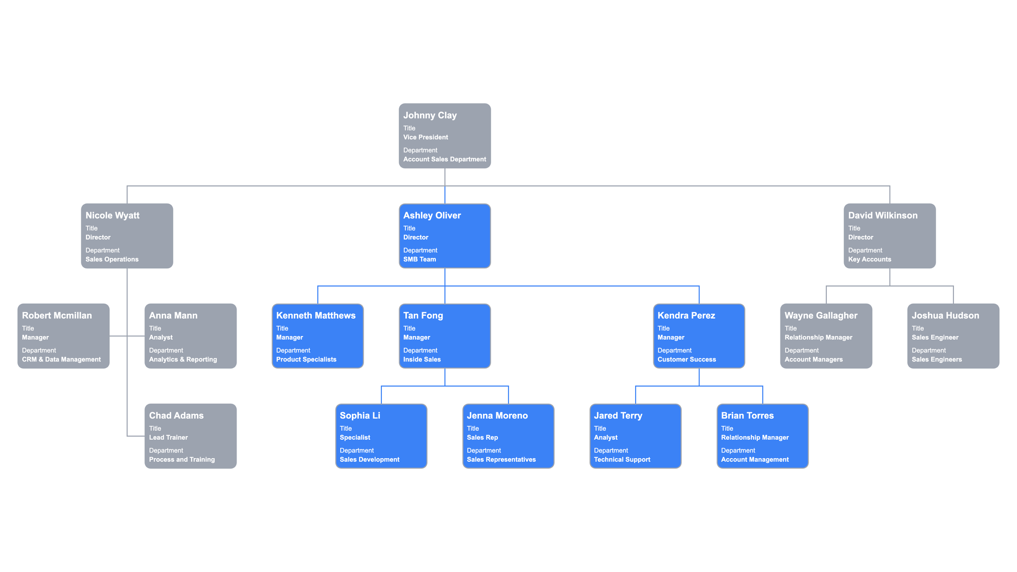 Sales Department Org Chart Focused on Accounts