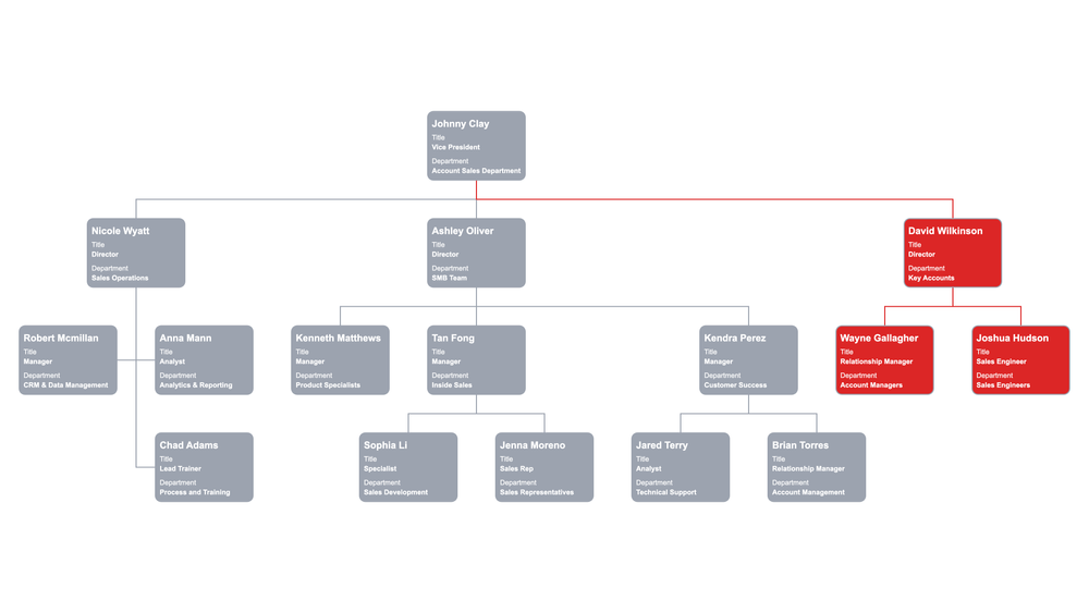 Key Account Org Chart Sales Department Org Chart Focused on Accounts
