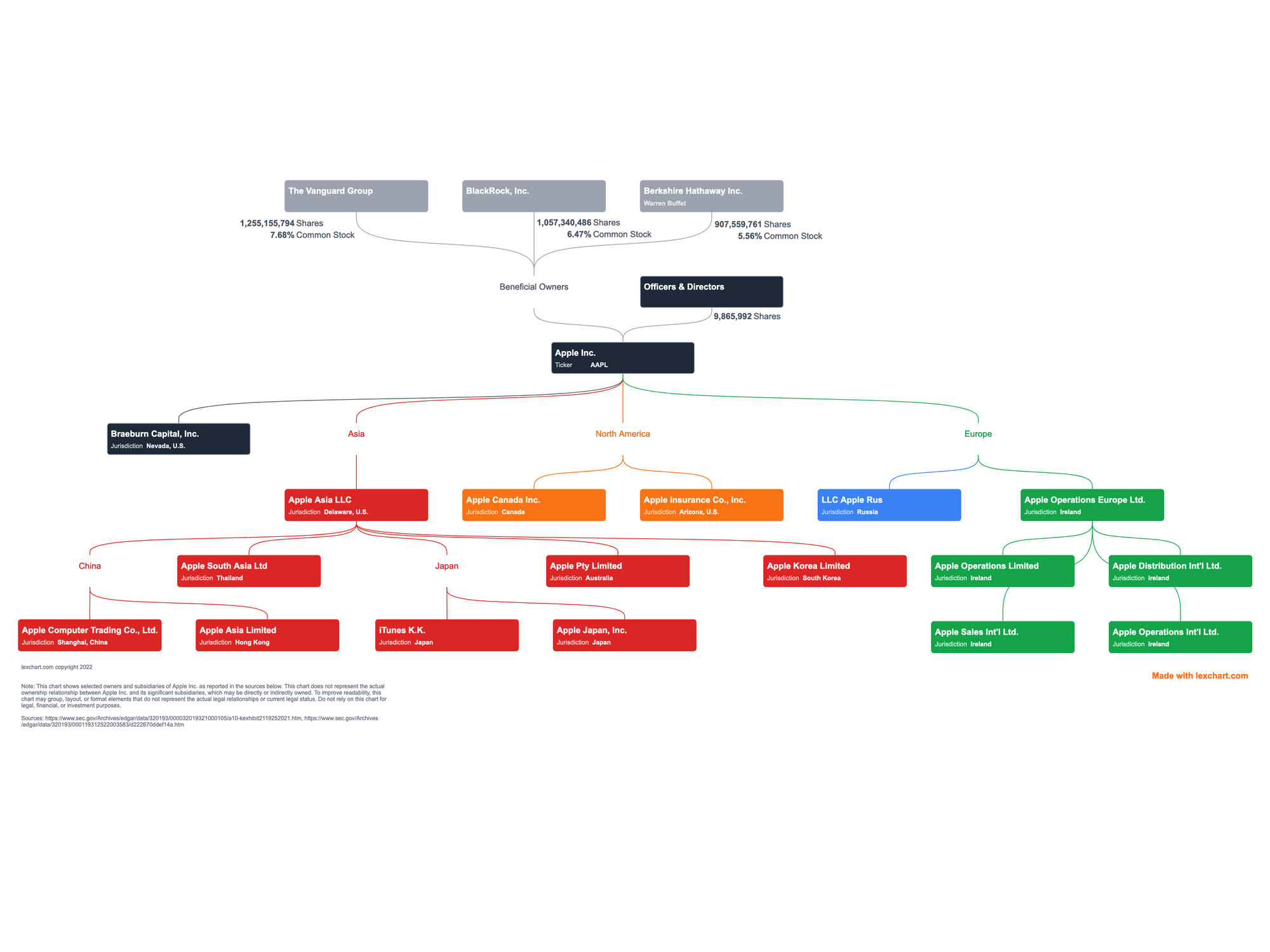 what type of business structure is apple