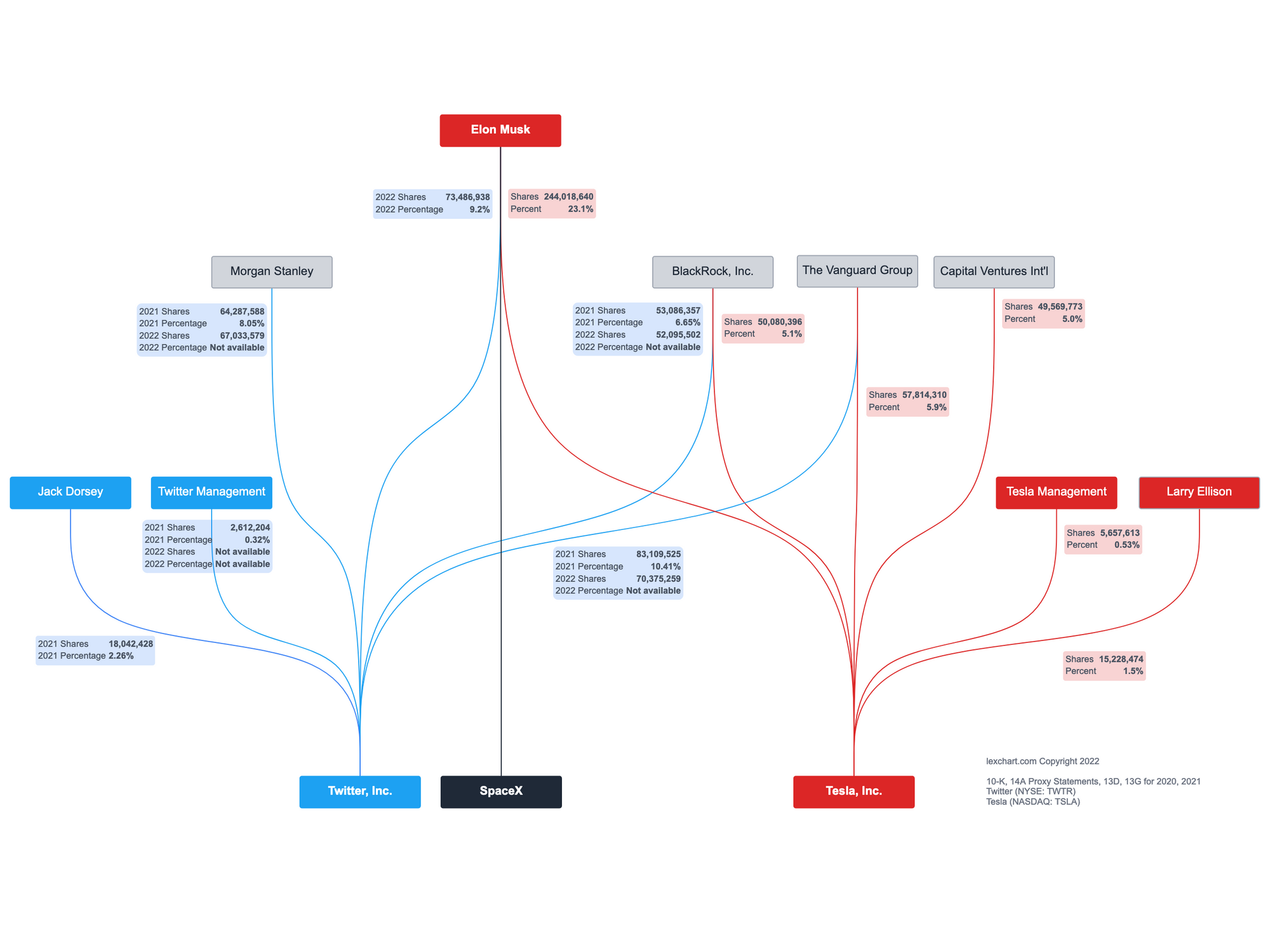 Elon Musk Ownership Chart of Telsa & Twitter [Free Download]